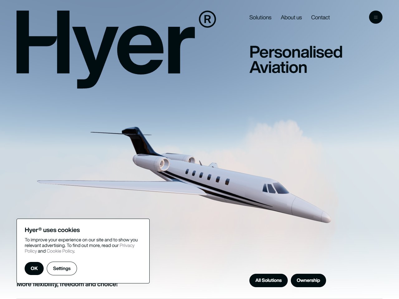 Screenshot of Fly Hyer